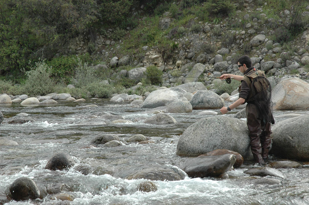 Clasificaci&oacute;n Provisional Campeonato Navarro Salm&oacute;nidos Mosca